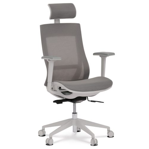 Modern Driver's Swivel Chair with Adjustable 3D ArmrestGrey KA-W004 