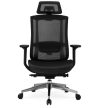 DYLAN Ergonomic Swivel Chair Black