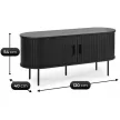 TV Stand 120 cm 2-Door Black TRISH