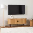 TV Cabinet 120 cm 2-Door Oak TRISH