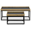 Coffee table CT-613 100x60 cm oak MDF
