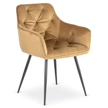   Mustár Bársony Étkezőszék. MODESTO Belföldi Raktárról