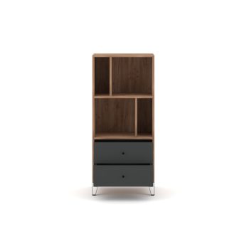 Shelf Cabinet 2-Drawer Craft Tobacco/Graphite BILBAO BL07