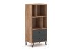 Shelf Cabinet 2-Drawer Craft Tobacco/Graphite BILBAO BL07
