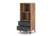 Shelf Cabinet 2-Drawer Craft Tobacco/Graphite BILBAO BL07