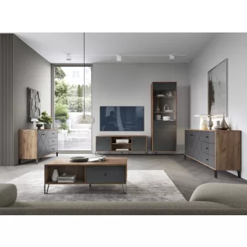 TV Cabinet 2-Door Craft Tobacco/Graphite BILBAO BL02