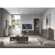 TV Cabinet 2-Door Craft Tobacco/Graphite BILBAO BL02