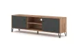 TV Cabinet 2-Door Craft Tobacco/Graphite BILBAO BL02