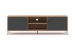 TV Cabinet 2-Door Craft Tobacco/Graphite BILBAO BL02