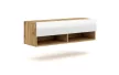 TV Cabinet 100 cm 1-Door Wotan Oak/White Gloss DERBY