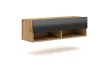 TV Cabinet 100 cm 1-Door Wotan Oak/Black Gloss DERBY