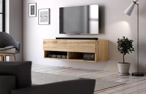 TV Cabinet 100 cm 1-Door Wotan Oak DERBY