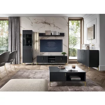 TV Cabinet 2-Door Black/Black Matt FLINN FL02