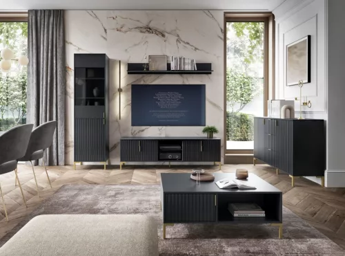 TV Cabinet 2-Door Black/Black Matt FLINN FL02
