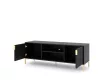 TV Cabinet 2-Door Black/Black Matt FLINN FL02