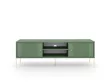 TV Cabinet Smoke Green/Black with Gold Handles ISEO IS01